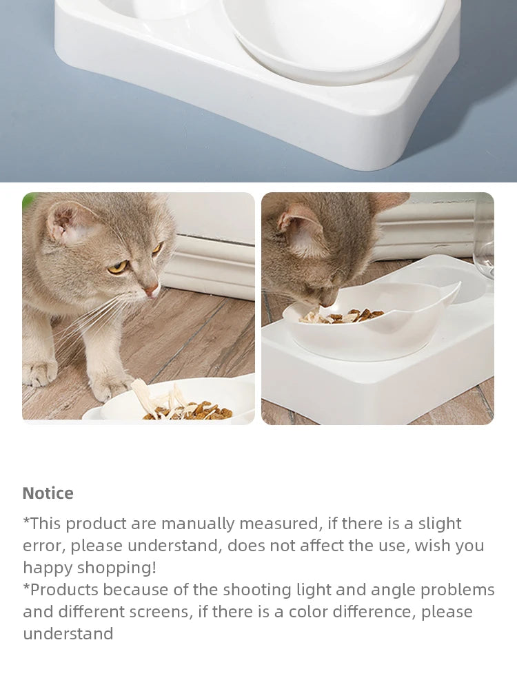 Tilted Pet Food & Water Bowl 🐶🐱🍽️