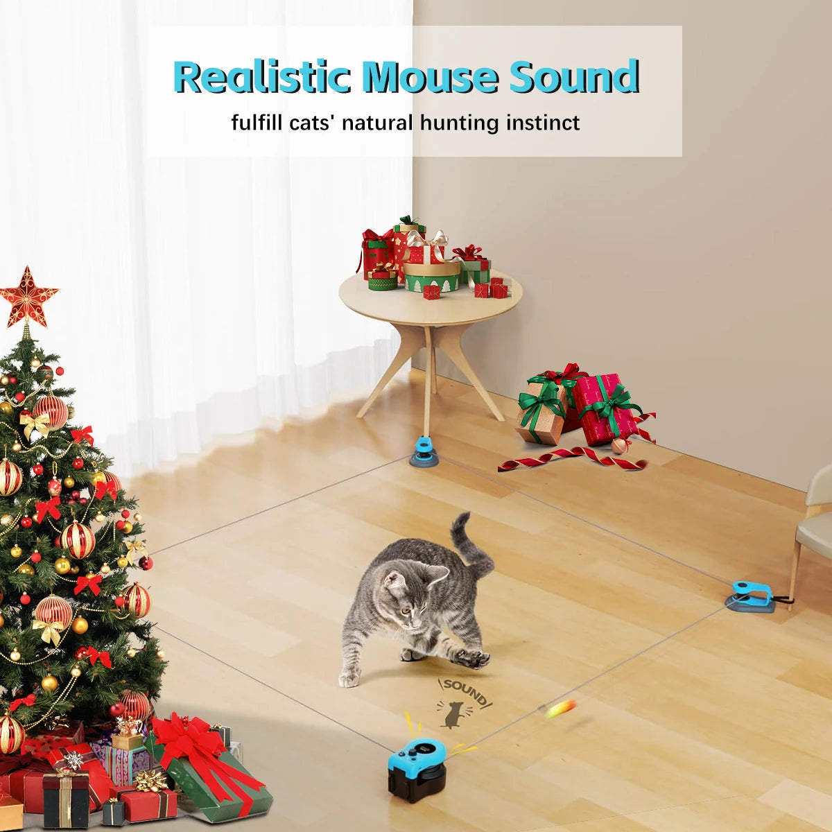 Indoor Cat Exercise Wheel.