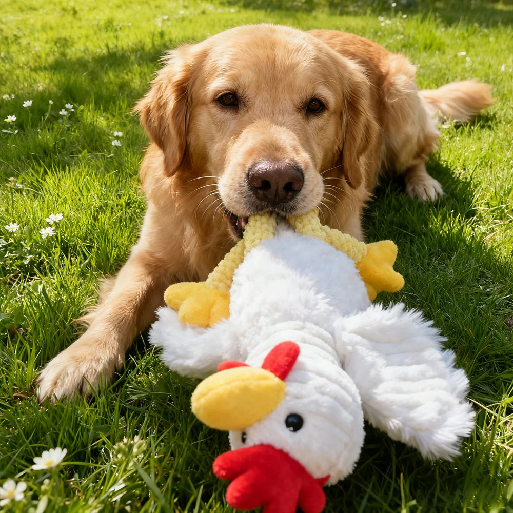 Pet Bite-Resistant Plush Interactive Toy with Sound, Cartoon Rooster Design, Suitable for Large, Medium, and Small Pets Such as Cats and Dogs, Double-Layer Fabric, Built-In Airbag