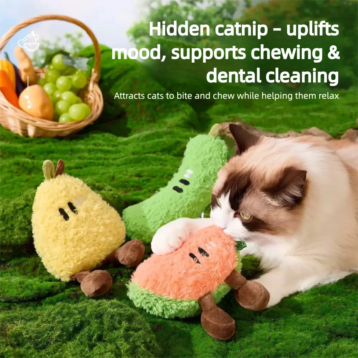 Catnip Fruit Plush Toy for Cats – Interactive Sound Toy with Crinkle Paper & Squeaker (Watermelon / Cucumber)