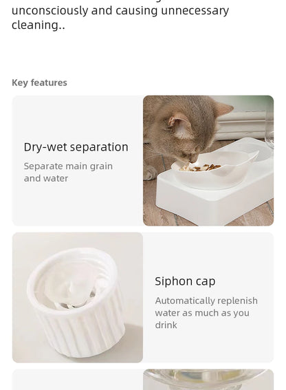 Tilted Pet Food & Water Bowl 🐶🐱🍽️