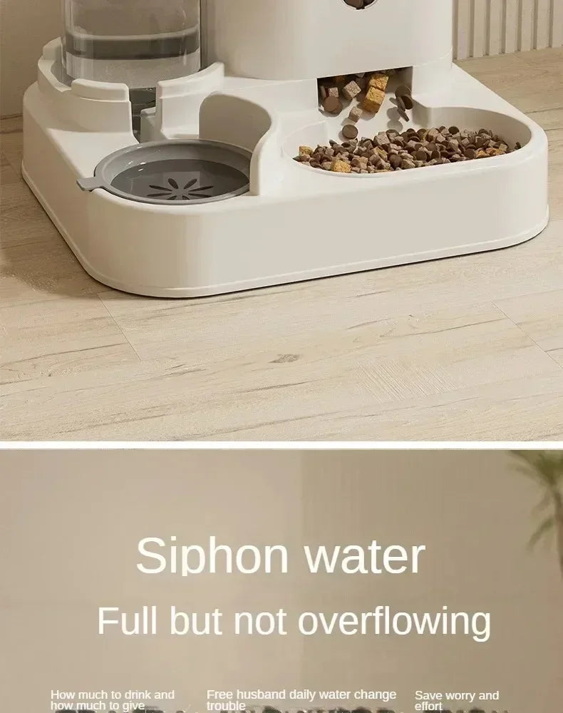 Automatic Pet Feeder with Water Fountain  2 🐶🐱💧
