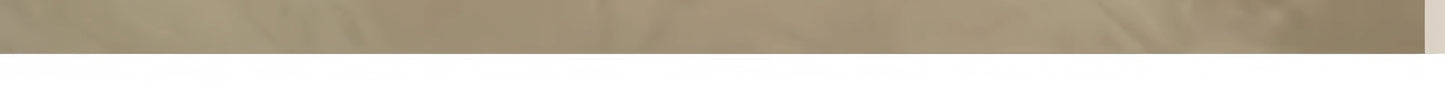 Cat Litter Mat Waterproof Double Layer Pet Litter Box Mat Pet Toilet Cat Mat Nonslip Sand Cat Washable Mat Pet Clean
