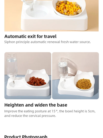Tilted Pet Food & Water Bowl 🐶🐱🍽️
