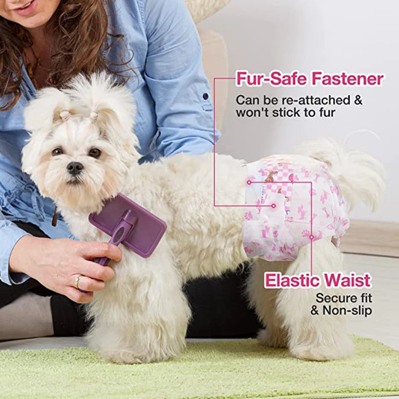 Disposable Dog Diapers 10-Pack 🐶