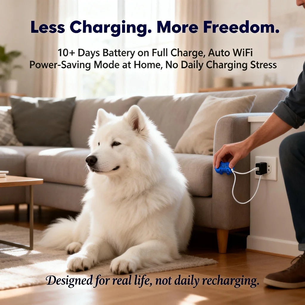 Real-Time Pet GPS Tracker