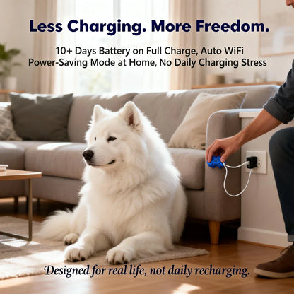 Real-Time Pet GPS Tracker