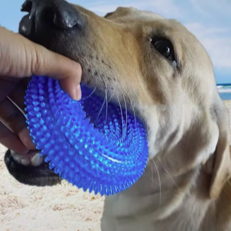 Pet Chew Toy Soft Rubber Bite-resistance Bone Shape Teeth Grinding Chewing Toys for Small Dogs Training Pet Supplies