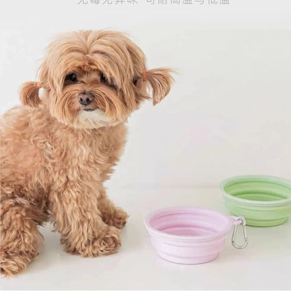 Portable Folding Pet Travel Bowl