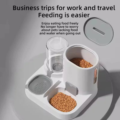 2-in-1 Cat Food & Water Bowl 🐱💧🍽️