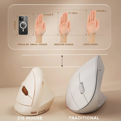 DAREU Mini Ergonomic Vertical Mouse 2.4G USB Bluetooth Wireless Optical Mice 3 Adjustable DPI 1000,1600,2400 for Small Hands