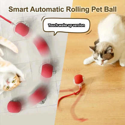 Pet Smart Interactive Ball Rechargeable Cat Ball Smart Kitten Dog Interaction Toy Intelligent Toy Ball Automatic Rolling Cat Toy