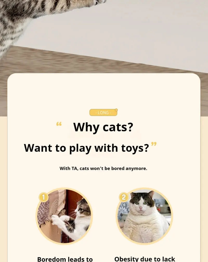 Electric Cat Ball Toy.