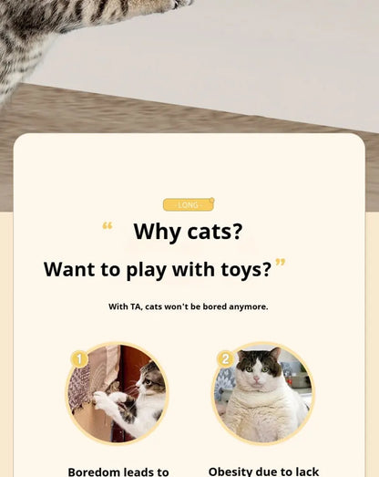 Electric Cat Ball Toy.