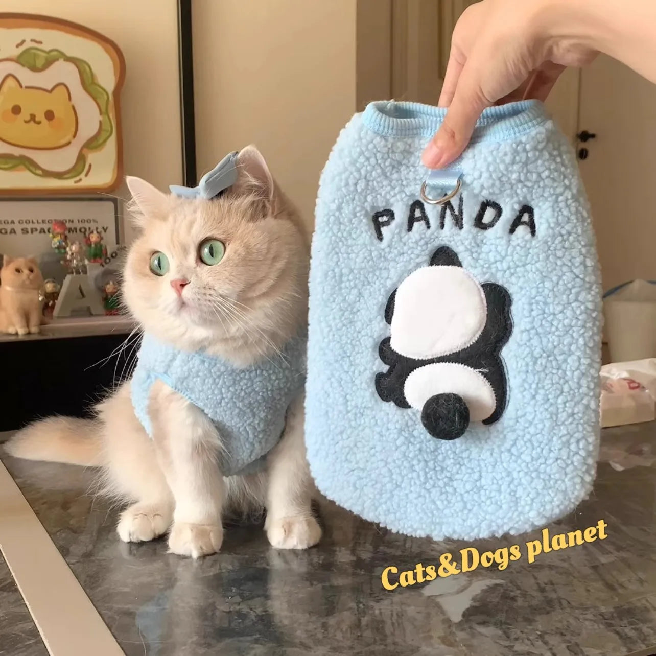 Cute Cozy Cat Winter Sweater 🐱❄️