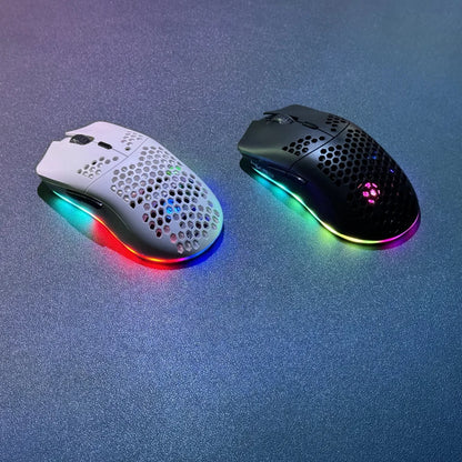 HXSJ T66 3-mode 10000DPI gaming wireless mouse RGB luminous 650mAh rechargeable 6 buttons macro programmable mice for pc desktop