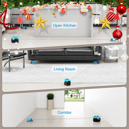 Indoor Cat Exercise Wheel.