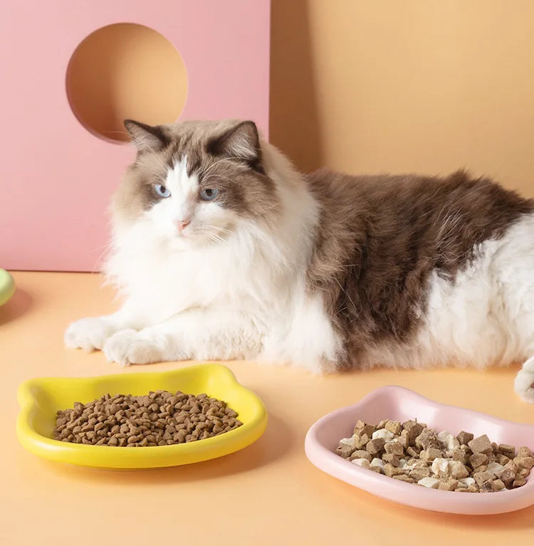 Premium Anti-Black-Nose Cat Food Bowl 🐱🍽️