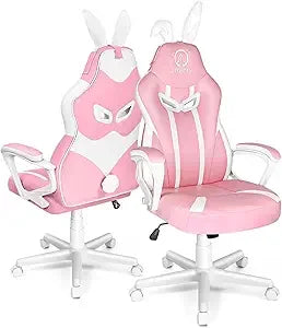 PinkNova Gaming Chair