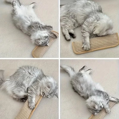 at Toy Game Pillow and Cat Scratching Pad for Solo Play and Intimate Interaction to Keep Your Feline Friend Happy and Soothing