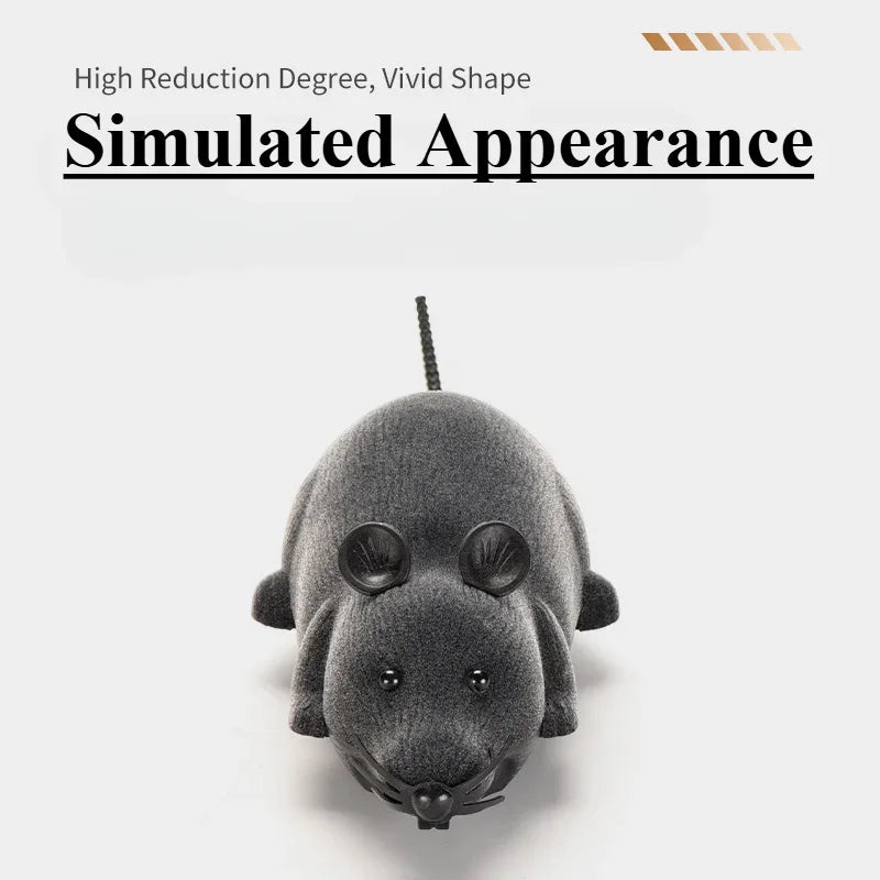 Remote Control Mouse Toy.