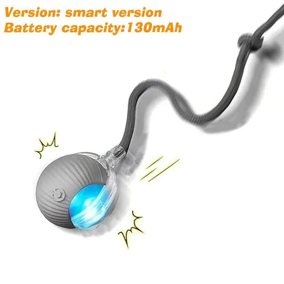 Pet Smart Interactive Ball Rechargeable Cat Ball Smart Kitten Dog Interaction Toy Intelligent Toy Ball Automatic Rolling Cat Toy
