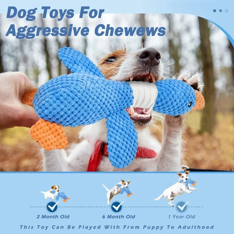 Active Play Toy