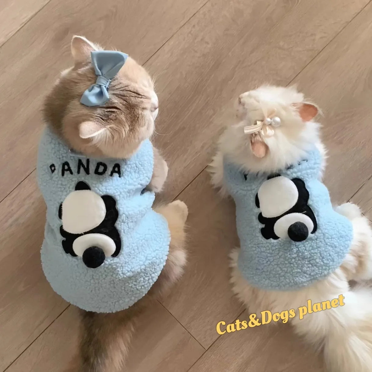 Cute Cozy Cat Winter Sweater 🐱❄️
