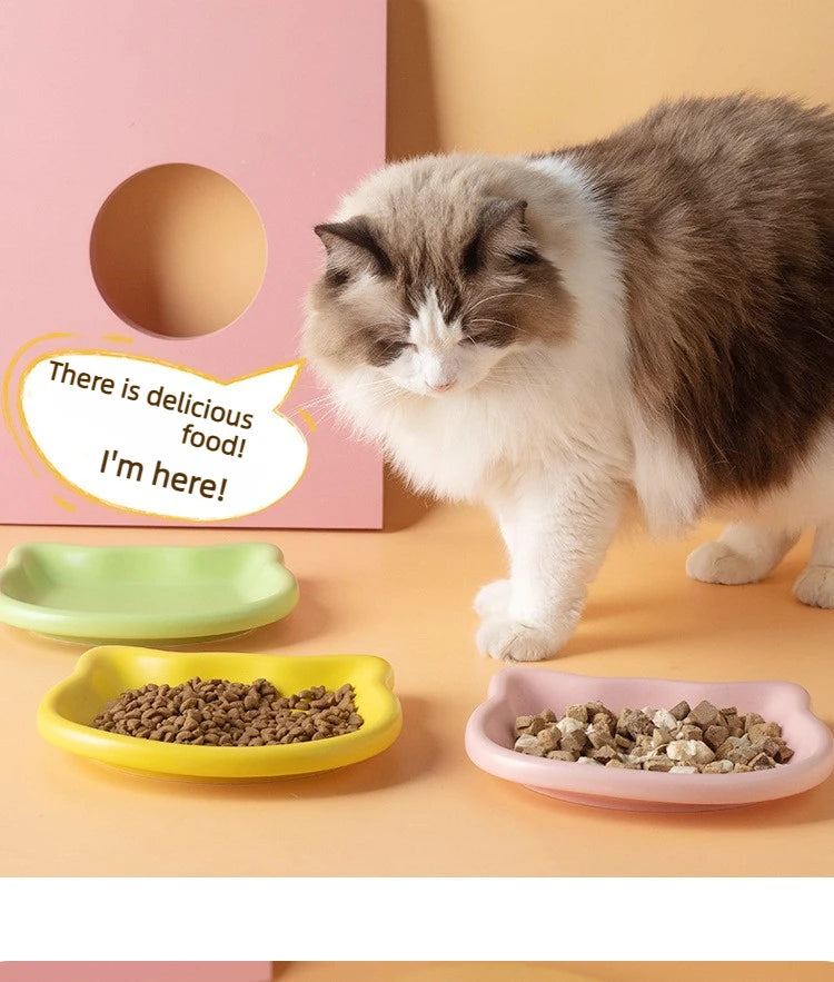 Premium Anti-Black-Nose Cat Food Bowl 🐱🍽️