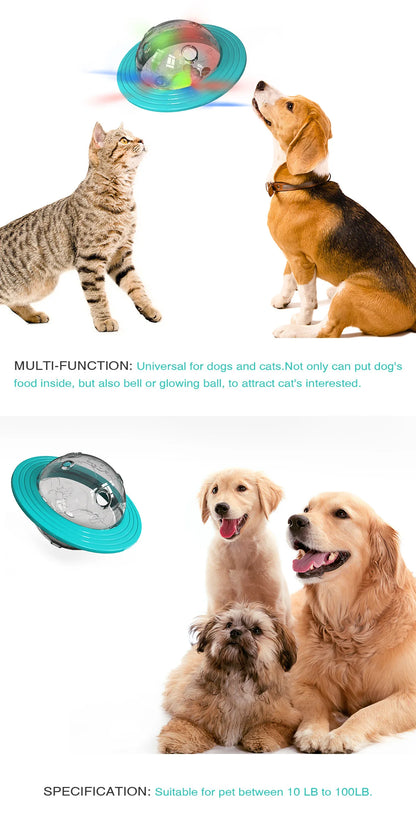 Chewable and wear-resistant dog toys educational dog supplies Frisbee flying disc and food dispenser