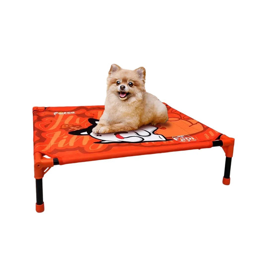 Portable Elevated Dog Bed 🐕❄️