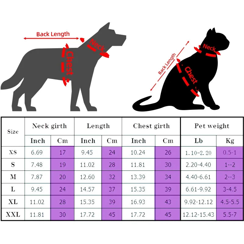 Sphynx Cat Sweater Hoodie 🐾