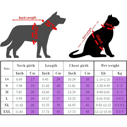 Sphynx Cat Sweater Hoodie 🐾