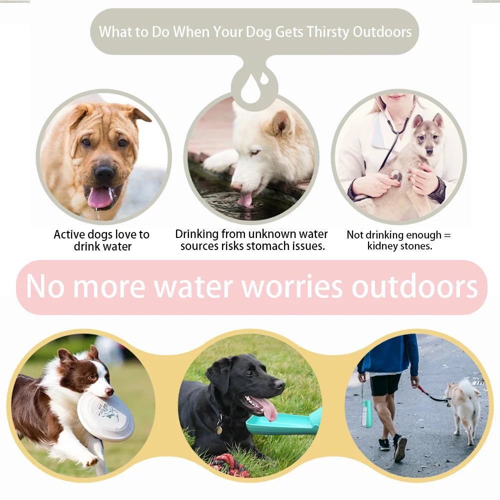 Portable Dog Water Bottle Foldable Pet Water Dispenser for Small Large Dogs Cat Leakproof Puppy Drinking Bowl for Outdoor Hiking