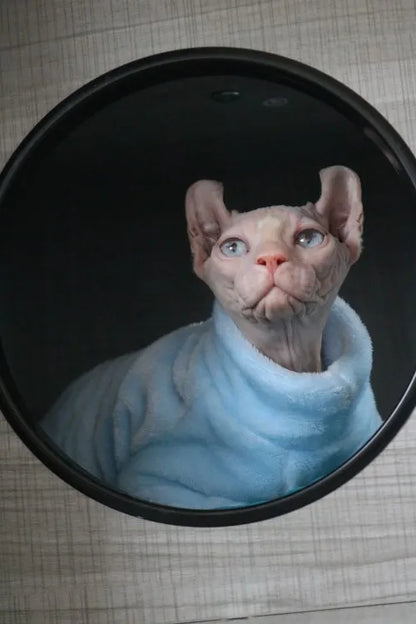Sphynx Cat Sweater Hoodie 🐾