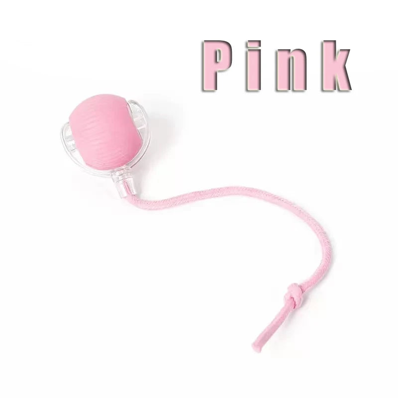 Pet Smart Interactive Ball Rechargeable Cat Ball Smart Kitten Dog Interaction Toy Intelligent Toy Ball Automatic Rolling Cat Toy