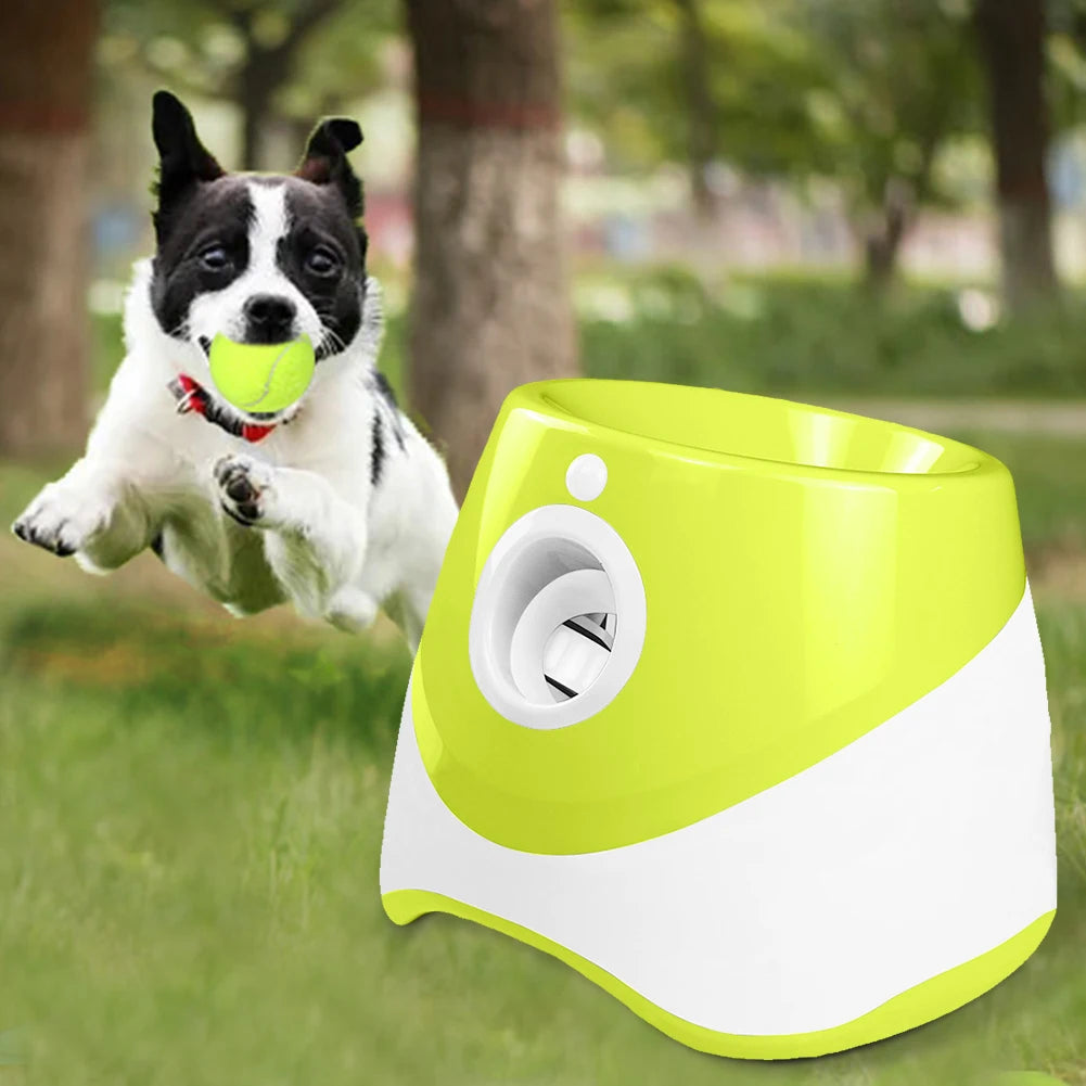 Automatic Dog Ball Launcher.