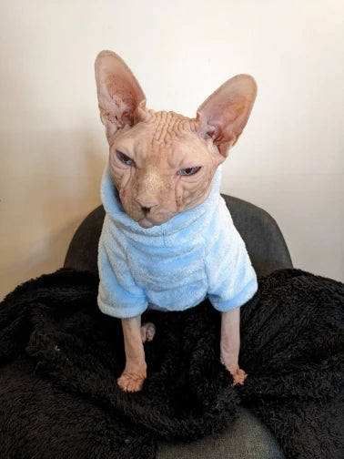 Sphynx Cat Sweater Hoodie 🐾