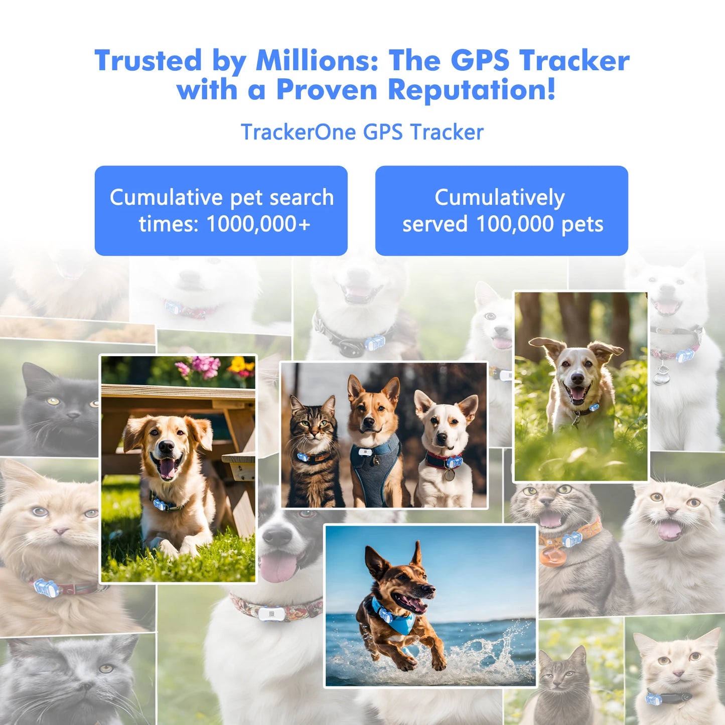 Real-Time Pet GPS Tracker