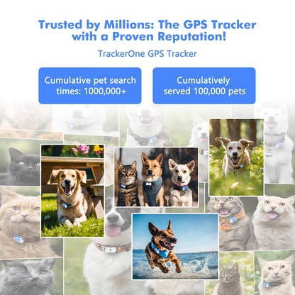 Real-Time Pet GPS Tracker