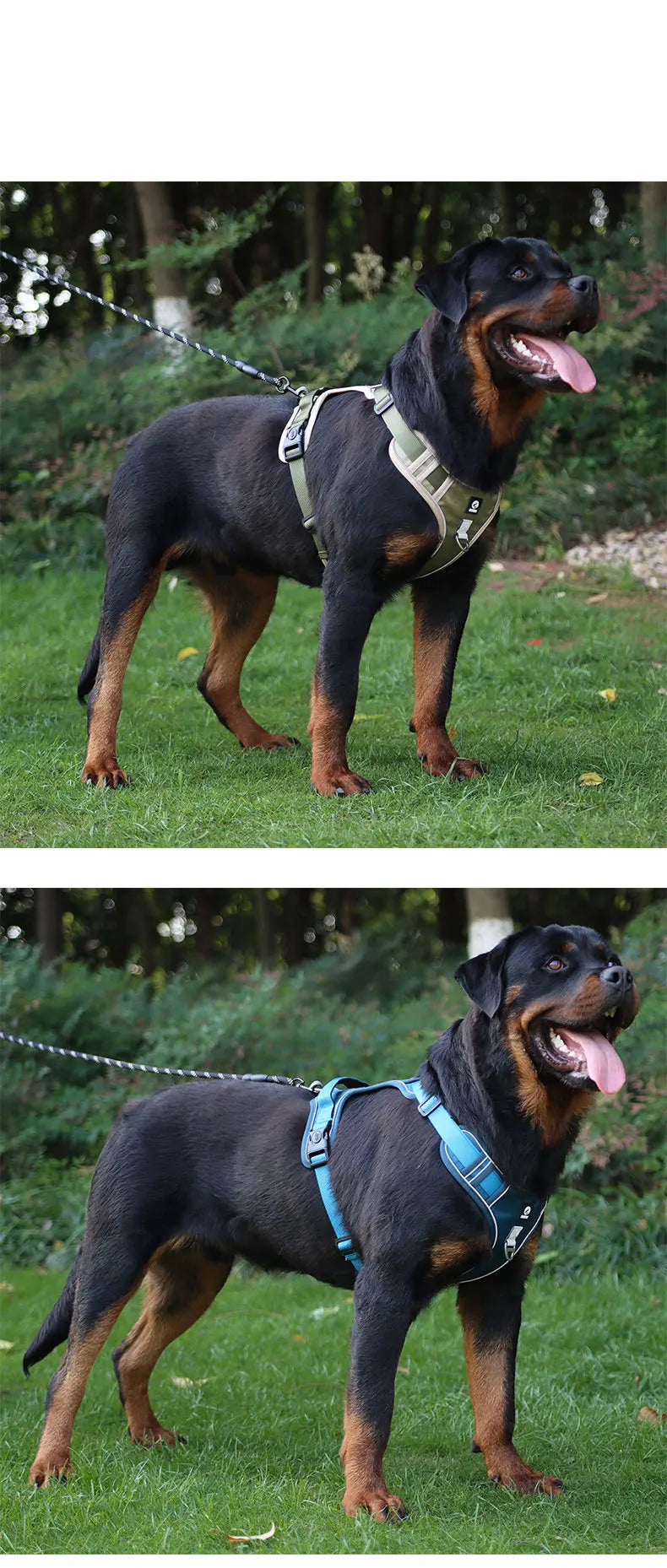 Anti-Pull Reflective Dog Harness with Multi-Point Adjustment No Pull Pet Vest for Pet Dogs Chew Proof and Durable