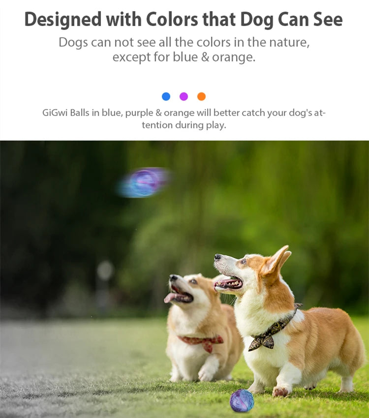 Pet Dog Puppy Squeaky Chew Toys Sound Pure Natural Non-toxic Rubber Outdoor Play Small medium Dogs Funny Ball for Dog Supplies
