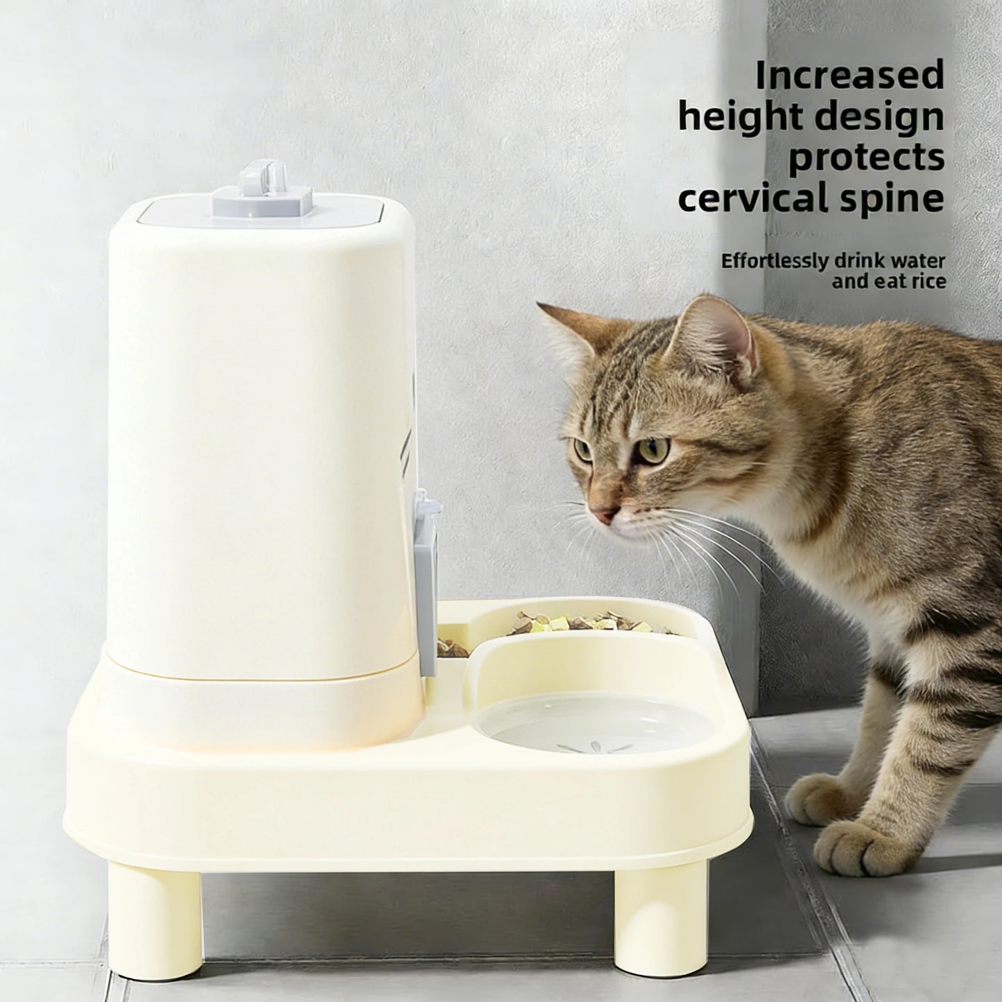 Cat Automatic Feeder Cat Dog Feeding and Water Fountain Drinker Cats Watering Supplies Food Storage Dispenser Pet Accessories