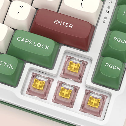 Outemu Silent Peach Switches.