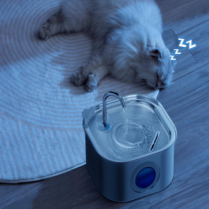 Stainless Steel Automatic Cat Water Fountain 2.2L 🐱💧