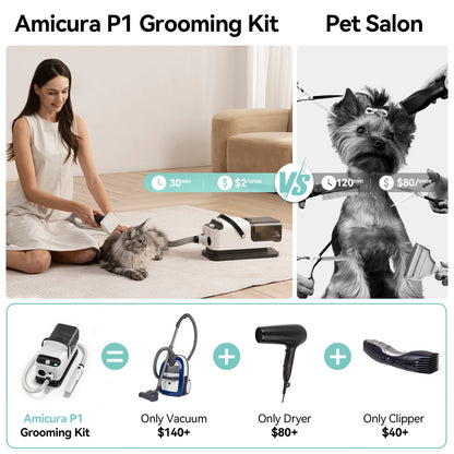 Pet Grooming Vacuum & Hair Dryer Kit 🐶✨