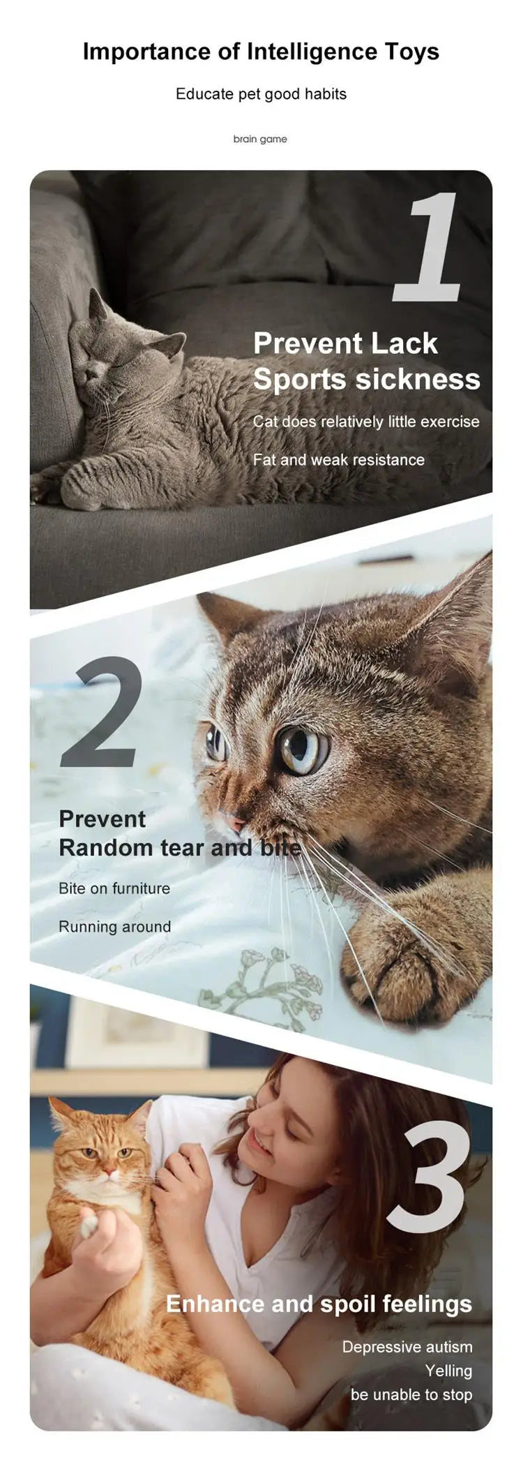 Pet Training Bell Toy