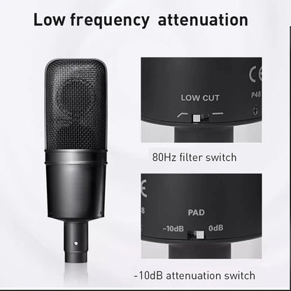 Hot Sale  AT4040 Large Diaphragm Condenser Microphone for Professional Studio Recording with High Sensitivity