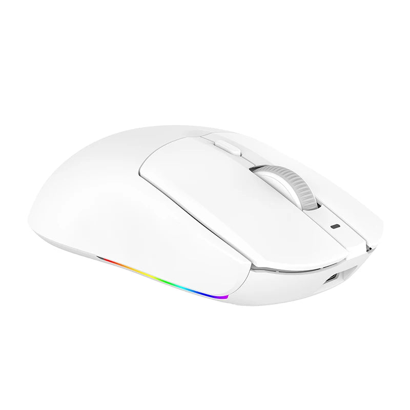 Wireless Gaming Mouse