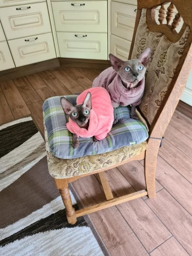 Sphynx Cat Sweater Hoodie 🐾